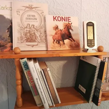 아파트 Milka W Dusznikach Zdroju 두슈니키 즈드로지