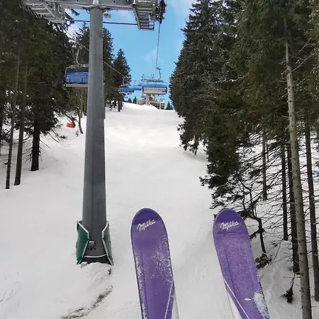 Milka W Dusznikach Zdroju Διαμέρισμα *