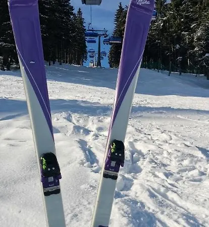 Milka W Dusznikach Zdroju 아파트 두슈니키 즈드로지