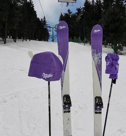 Milka W Dusznikach Zdroju 아파트