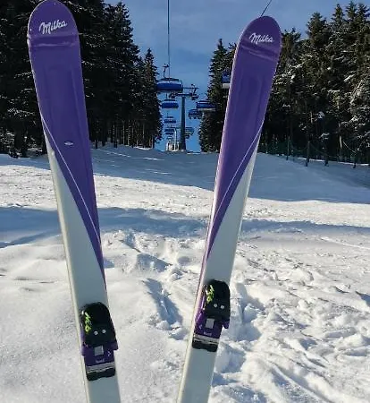 Milka W Dusznikach Zdroju 아파트