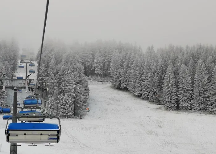 Milka W Dusznikach Zdroju