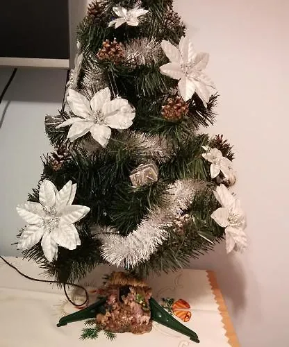 Milka W Dusznikach Zdroju Duszniki Zdrój