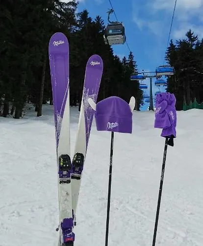 Milka W Dusznikach Zdroju Διαμέρισμα Duszniki Zdrój