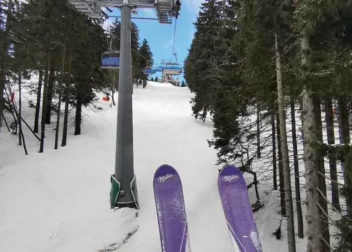 Milka W Dusznikach Zdroju Διαμέρισμα *