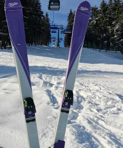 Milka W Dusznikach Zdroju Διαμέρισμα Duszniki Zdrój