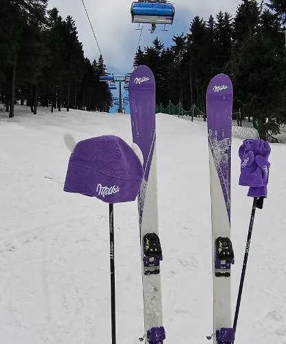 Milka W Dusznikach Zdroju Διαμέρισμα