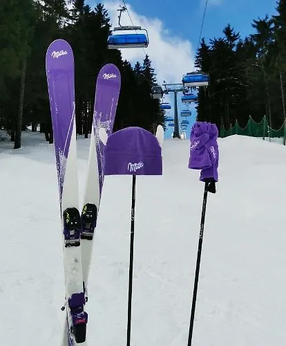 Milka W Dusznikach Zdroju Appartement Duszniki Zdrój